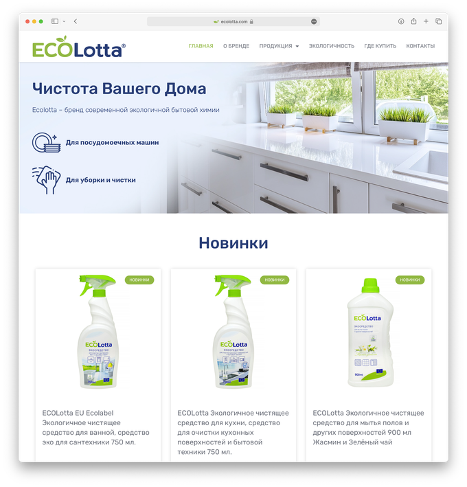 Sitio web de la marca de productos químicos domésticos EcoLotta